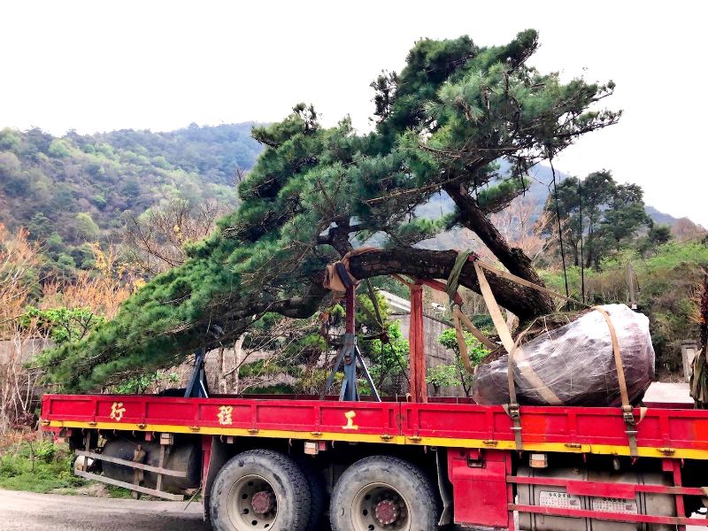 出貨日記  拾壹