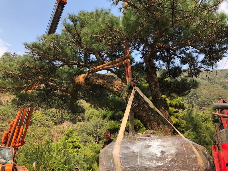 出貨日記  拾壹