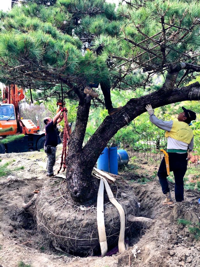 出貨日記  拾壹