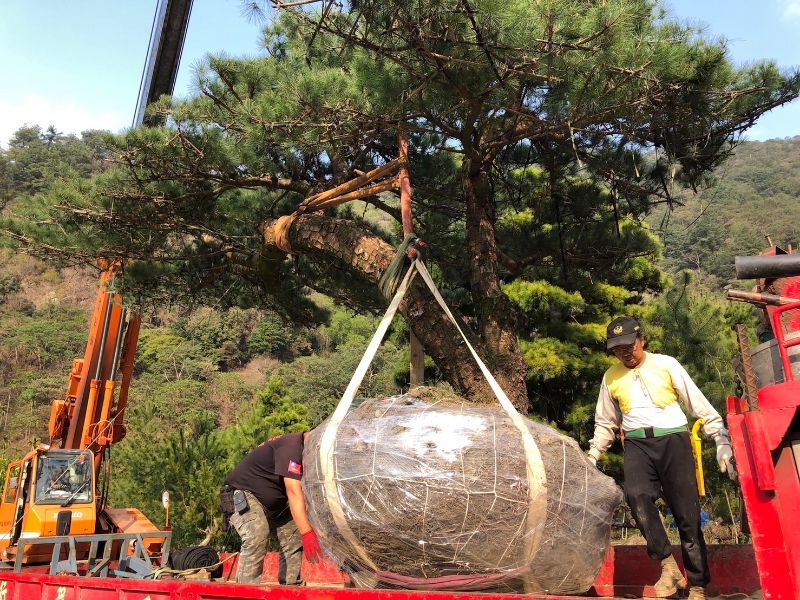 出貨日記  拾壹