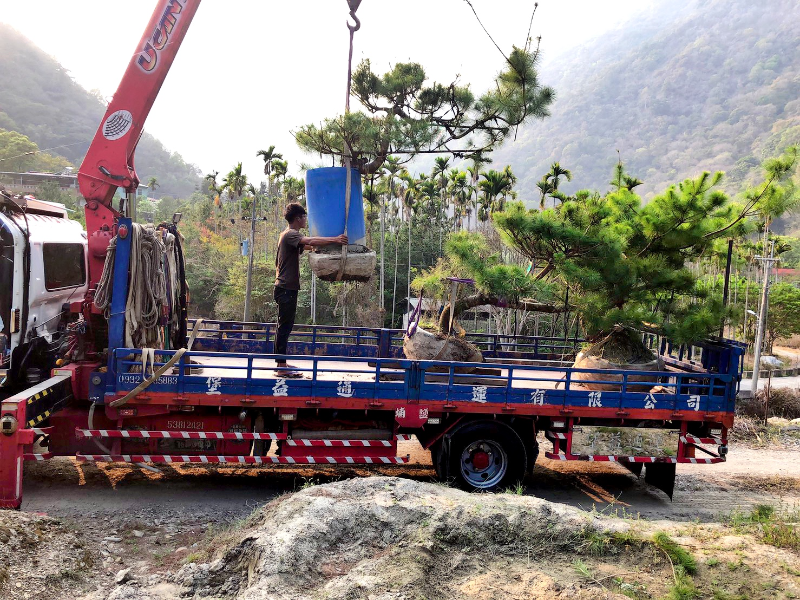 出貨日記  拾伍