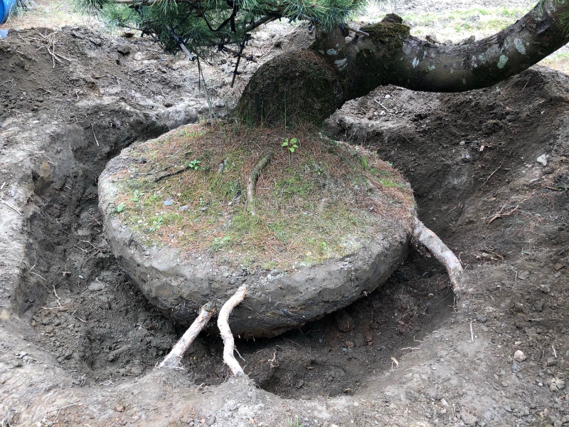 出貨日記  拾伍