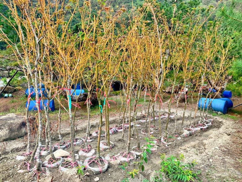 出貨日記  拾肆