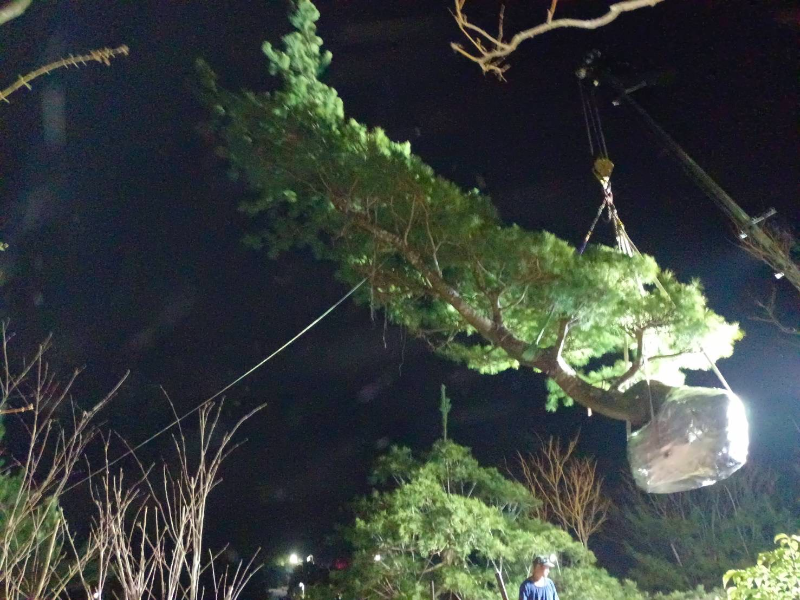 出貨日記  拾捌