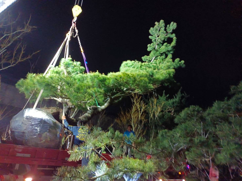 出貨日記  拾捌