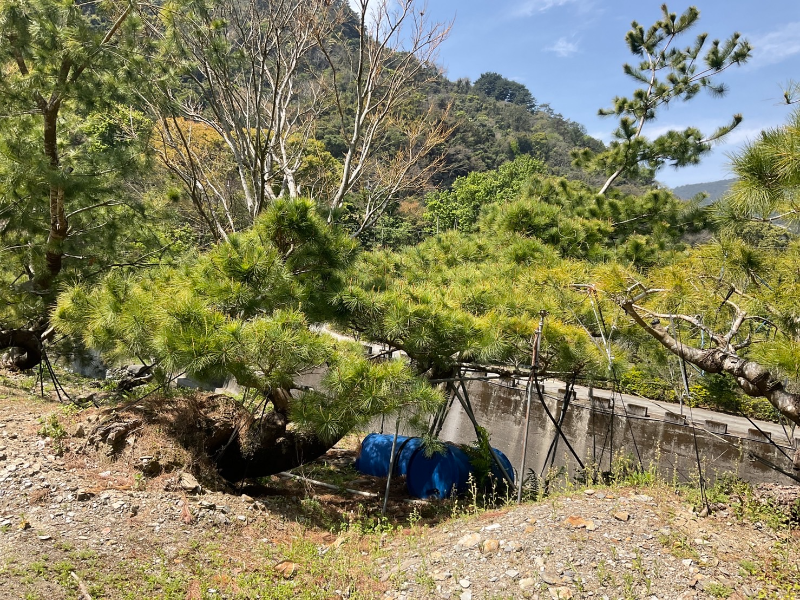 出貨日記  拾捌