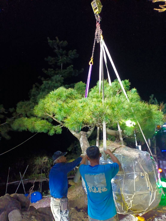 出貨日記  拾捌