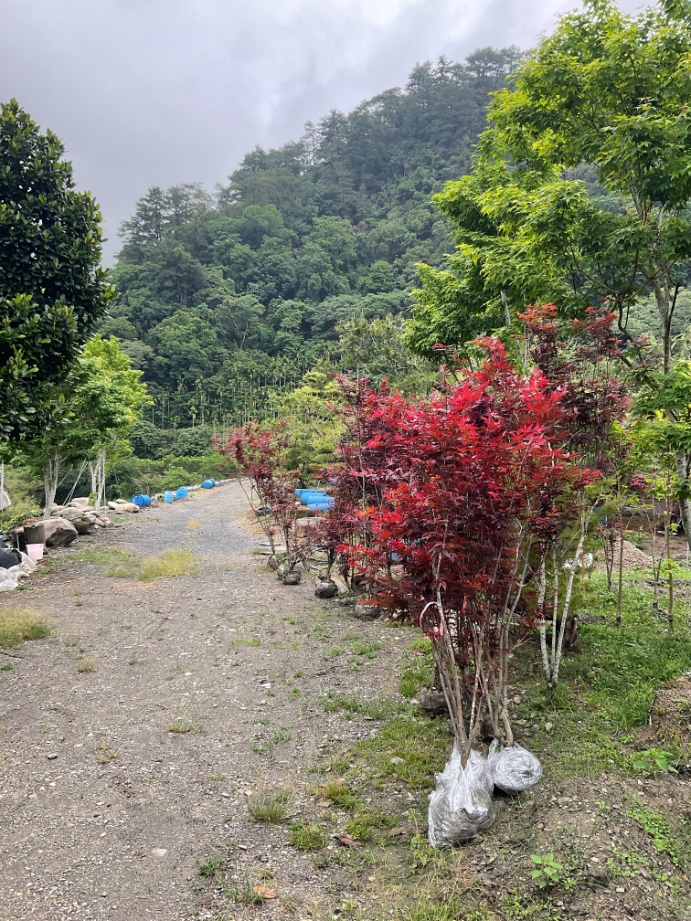 出貨日記  貳拾