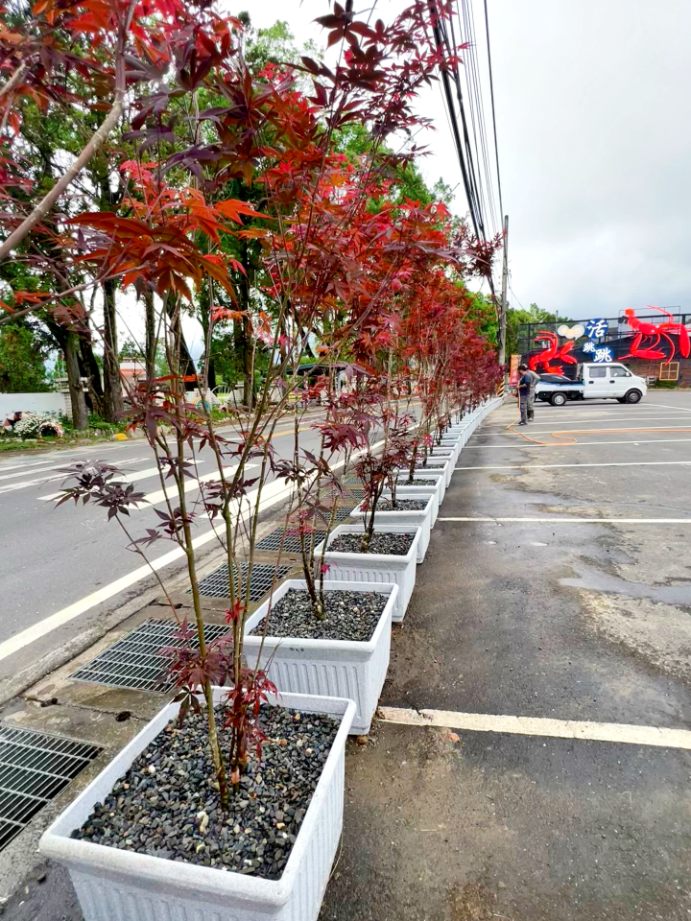 出貨日記  貳拾