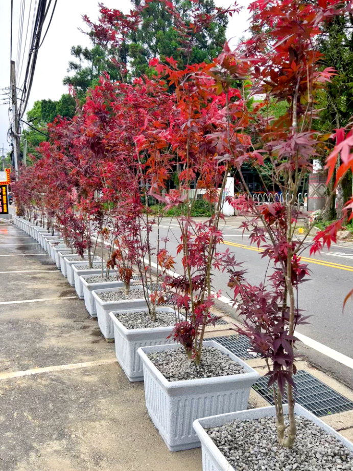 出貨日記  貳拾