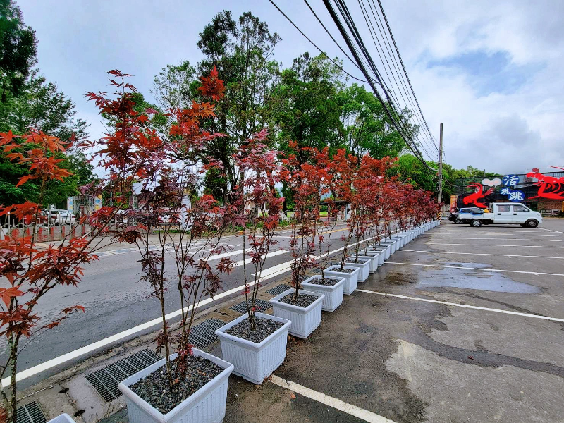 出貨日記  貳拾